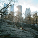 central park, nyc, skyline, beautiful day, winter, 2020, holiday time, sunny in winter, nyc dreams,